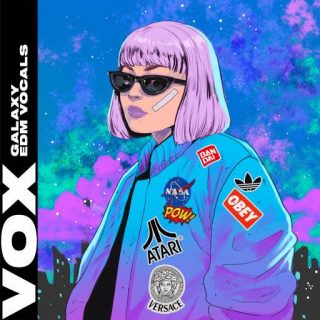 VOX – Galaxy EDM Vocals crack