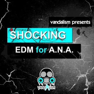Vandalism Shocking EDM For ANA