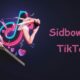 sidbowbid tiktok